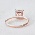 Lane Woods 925 Silver Classic Princess Cut Moissanite Hidden Halo Ring