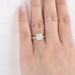Lane Woods 925 Silver Classic Princess Cut Moissanite Hidden Halo Ring