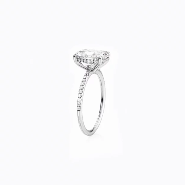 Lane Woods 925 Silver D Grade 4.5 Carat Cushion Cut with Side Halo Promise Engagement Rings
