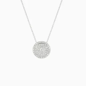 Lane Woods 925 Silver Halo Moissanite Necklace