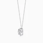 Lane Woods 925 Silver Halo Solitaire Round Moissanite Necklace