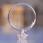 Lane Woods 925 Silver Perfect Angel Round Moissanite Ring