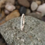 Lane Woods 925 Silver Round Cut Moissanite 3/4 Eternity Band