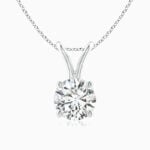 Lane Woods 925 Silver Round Cut Moissanite Solitaire Necklace