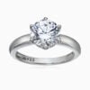 Lane Woods 925 Silver Round Cut Solitaire Promise Engagement Wedding Moissanite Ring