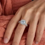 Lane Woods 925 Silver Round Moissanite Halo Bridal Set