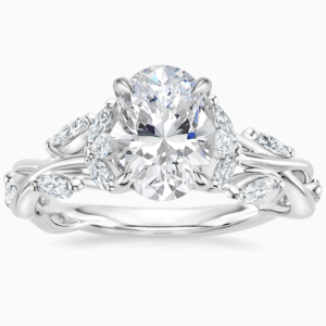 Lane Woods 925 Silver Secret Garden Promise Engagement Wedding Moissanite Ring