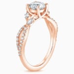 Lane Woods 925 Silver Willow Promise Engagement Wedding Moissanite Ring for Women